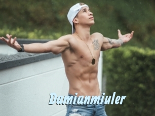 Damianmiuler