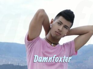 damnfoxter Gay Sex Prev
