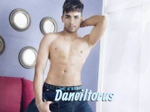 Daneil_torus