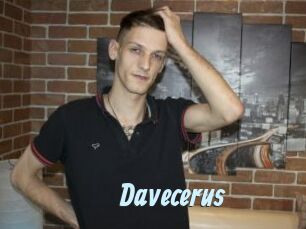 Davecerus