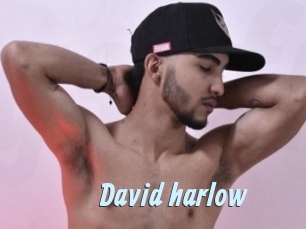david_harlow Gay Sex Prev