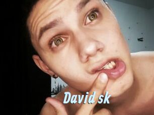 David_sk