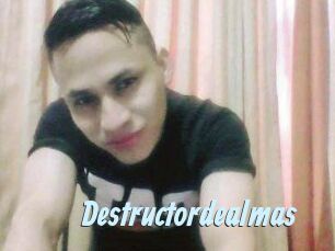 Destructordealmas