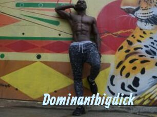 Dominantbigdick