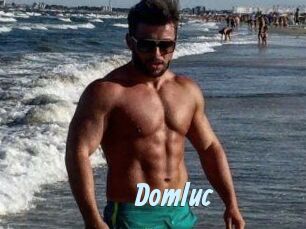 Domluc