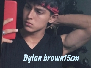 Dylan_brown15cm