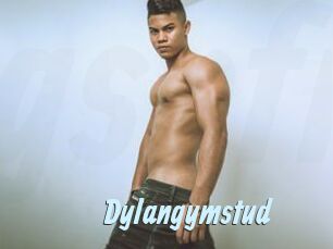 Dylangymstud