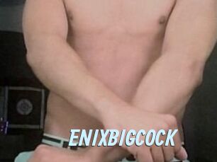 ENIXBIGCOCK