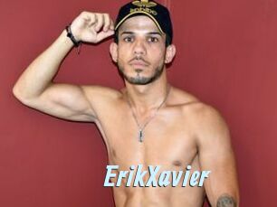 ErikXavier
