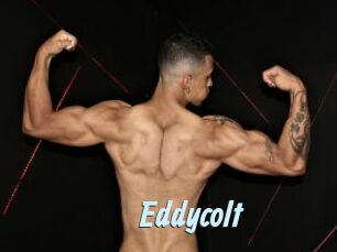 Eddycolt