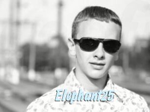 Elephant25