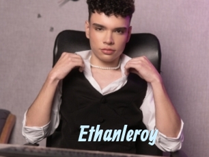 ethanleroy Gay Sex Prev