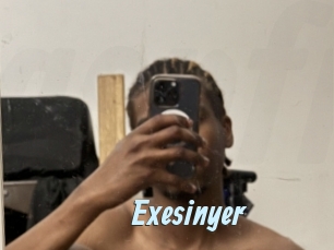 Exesinyer