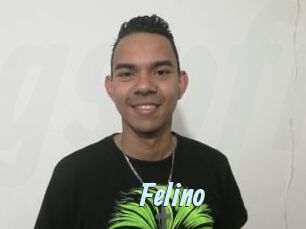 Felino