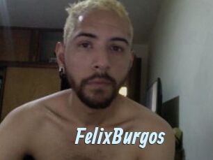 FelixBurgos