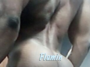 Flamin