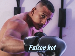 Falcon_hot
