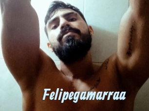 Felipegamarraa