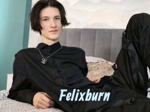 Felixburn