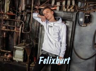 Felixburt