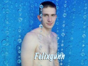 Felixgunn