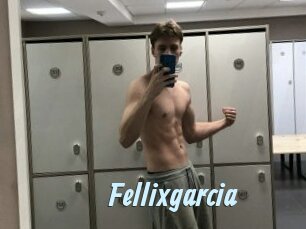Fellixgarcia
