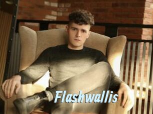 Flashwallis