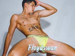 Floydswan