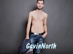 GavinNorth