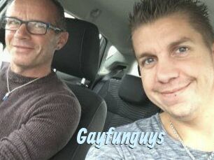 Gayfunguys