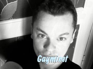 Gayminet