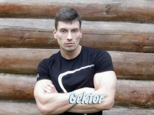Gektor