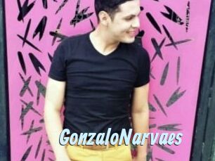 GonzaloNarvaes