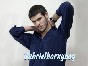 Gabrielhornyboy