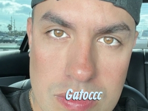 Gatoccc