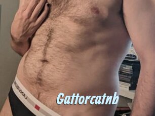 Gattorcatnb