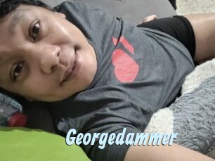 Georgedammer