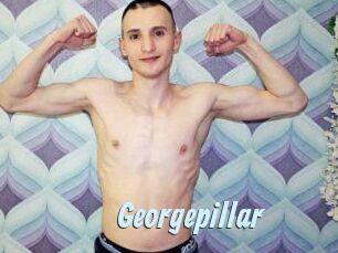 Georgepillar