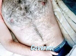 Governor