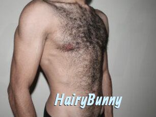 HairyBunny