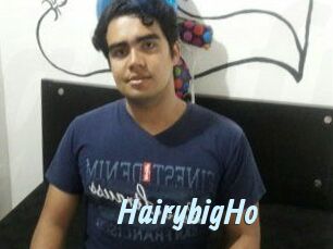 HairybigHo Gay Sex Prev