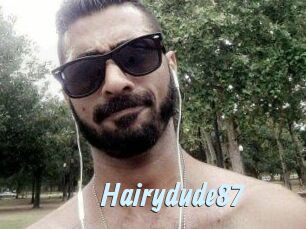 Hairydude87