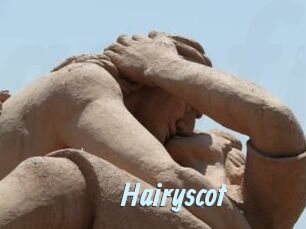 Hairyscot Gay Sex Prev