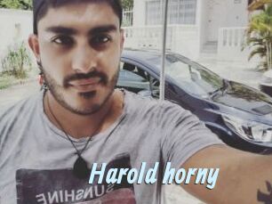 Harold_horny