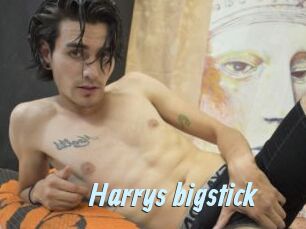 Harrys_bigstick