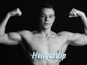 HeilgarVip
