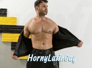 HornyLatinGay
