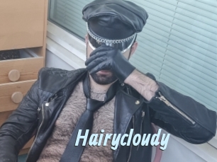 Hairycloudy
