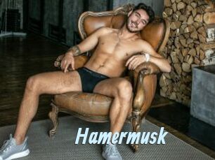 Hamermusk