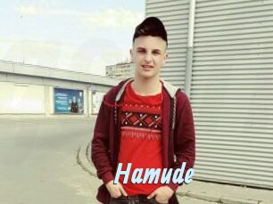 hamude Gay Sex Prev